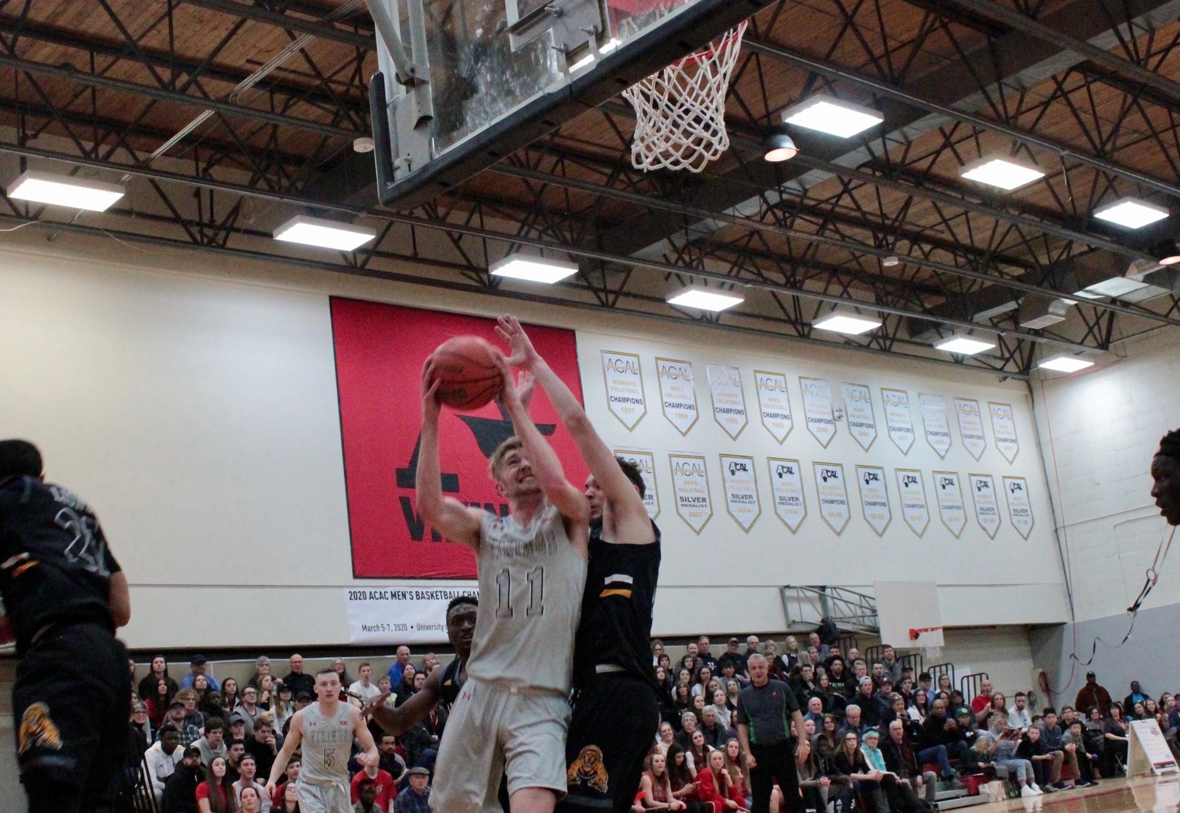 Vikings lose on the road to Wolves