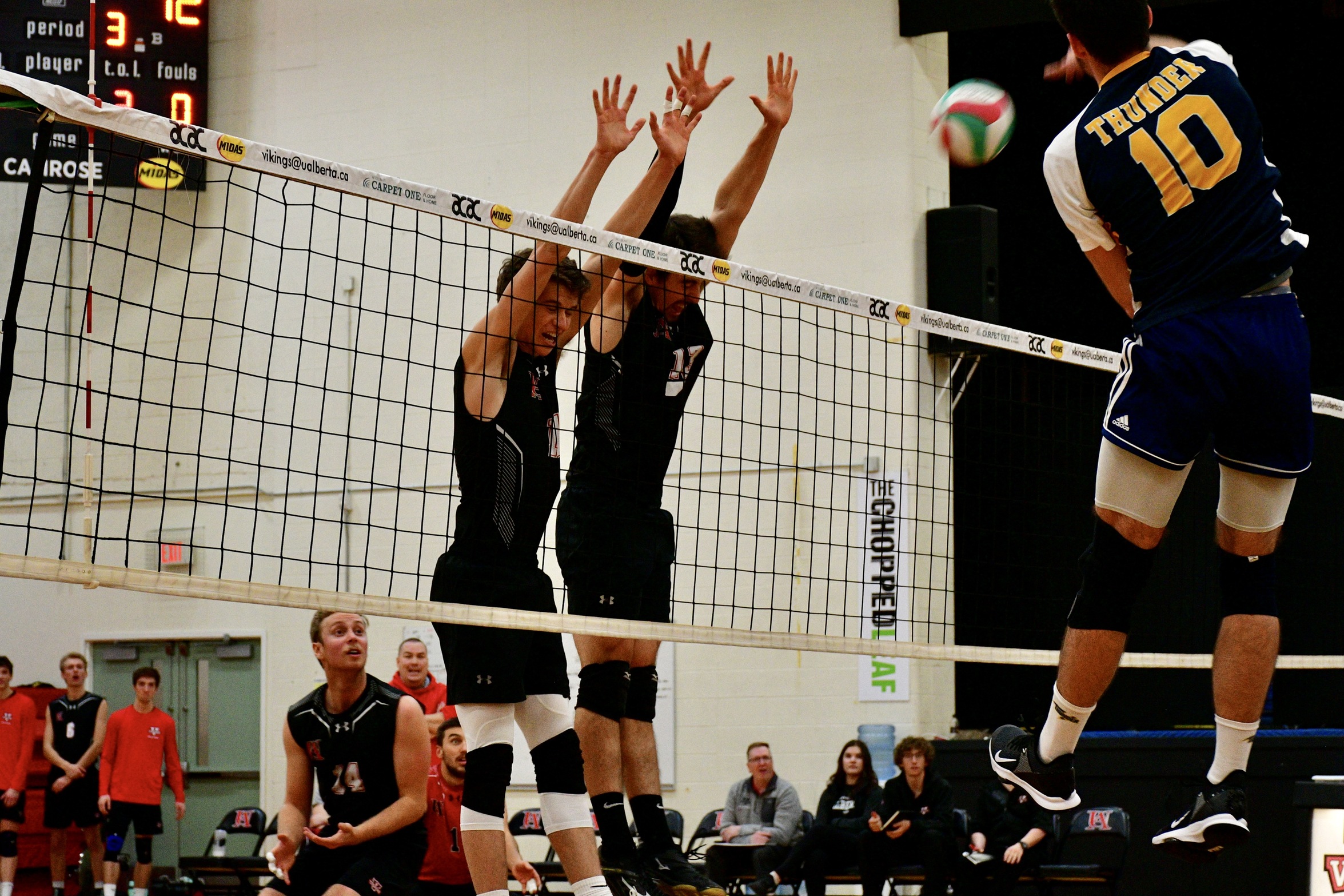 Vikings victorious in season opener vs Wolves
