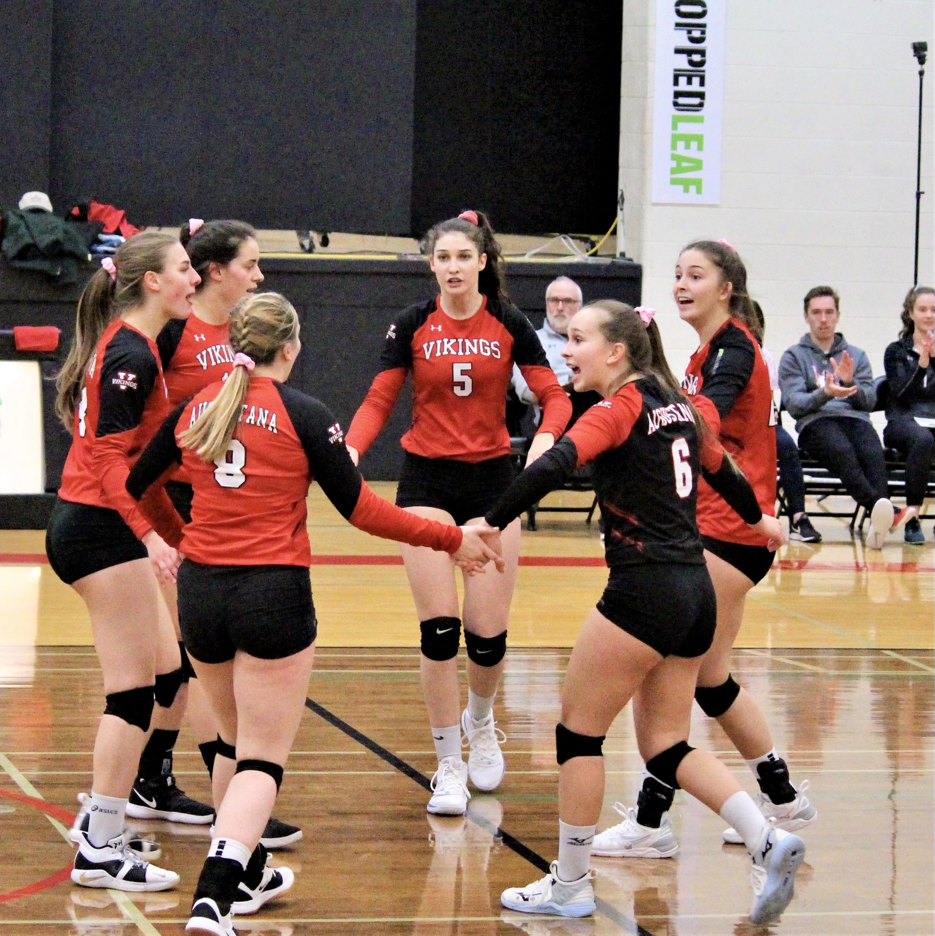 Vikings claim season opener win against Wolves