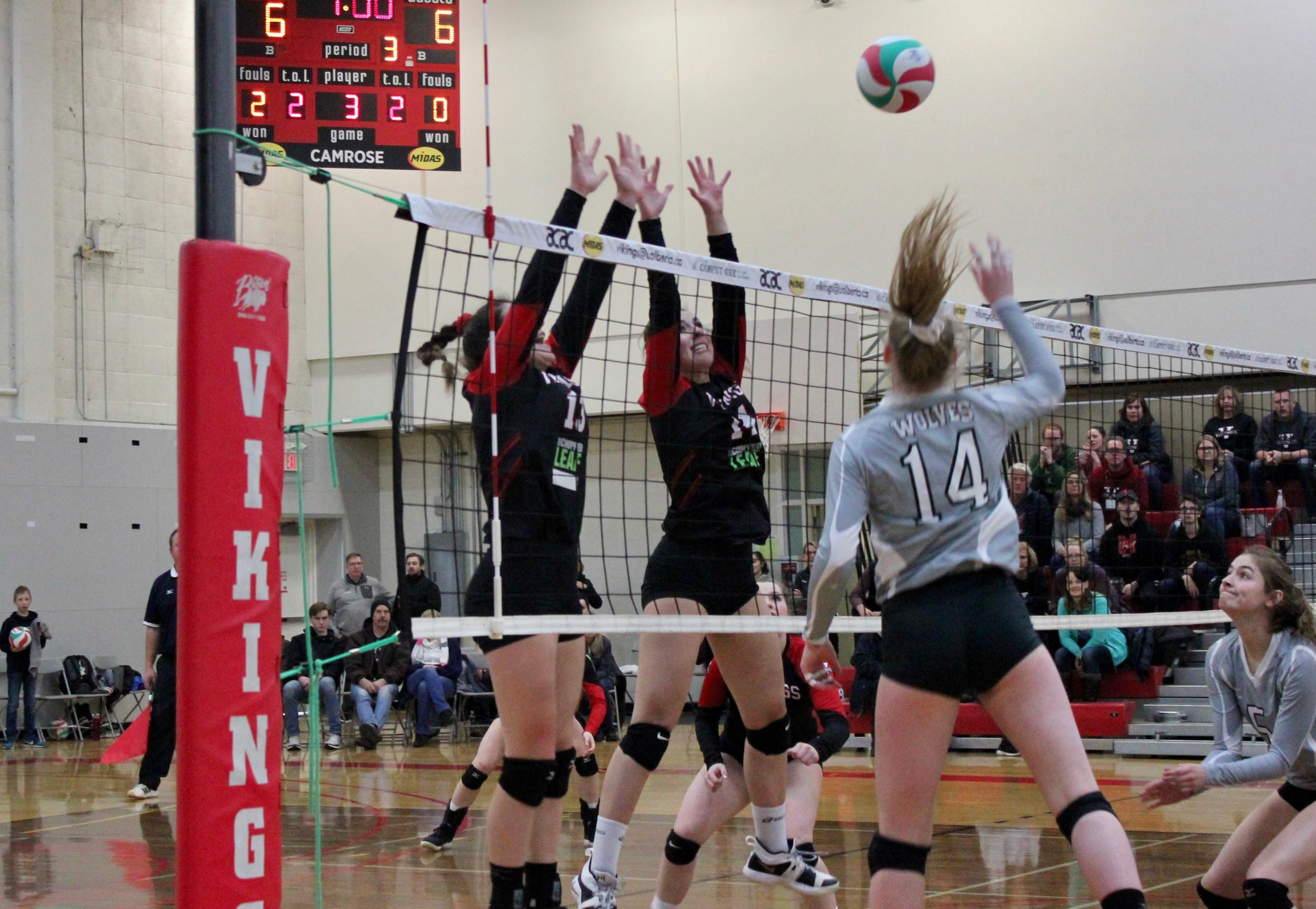 Vikings sweep Wolves in weekend series
